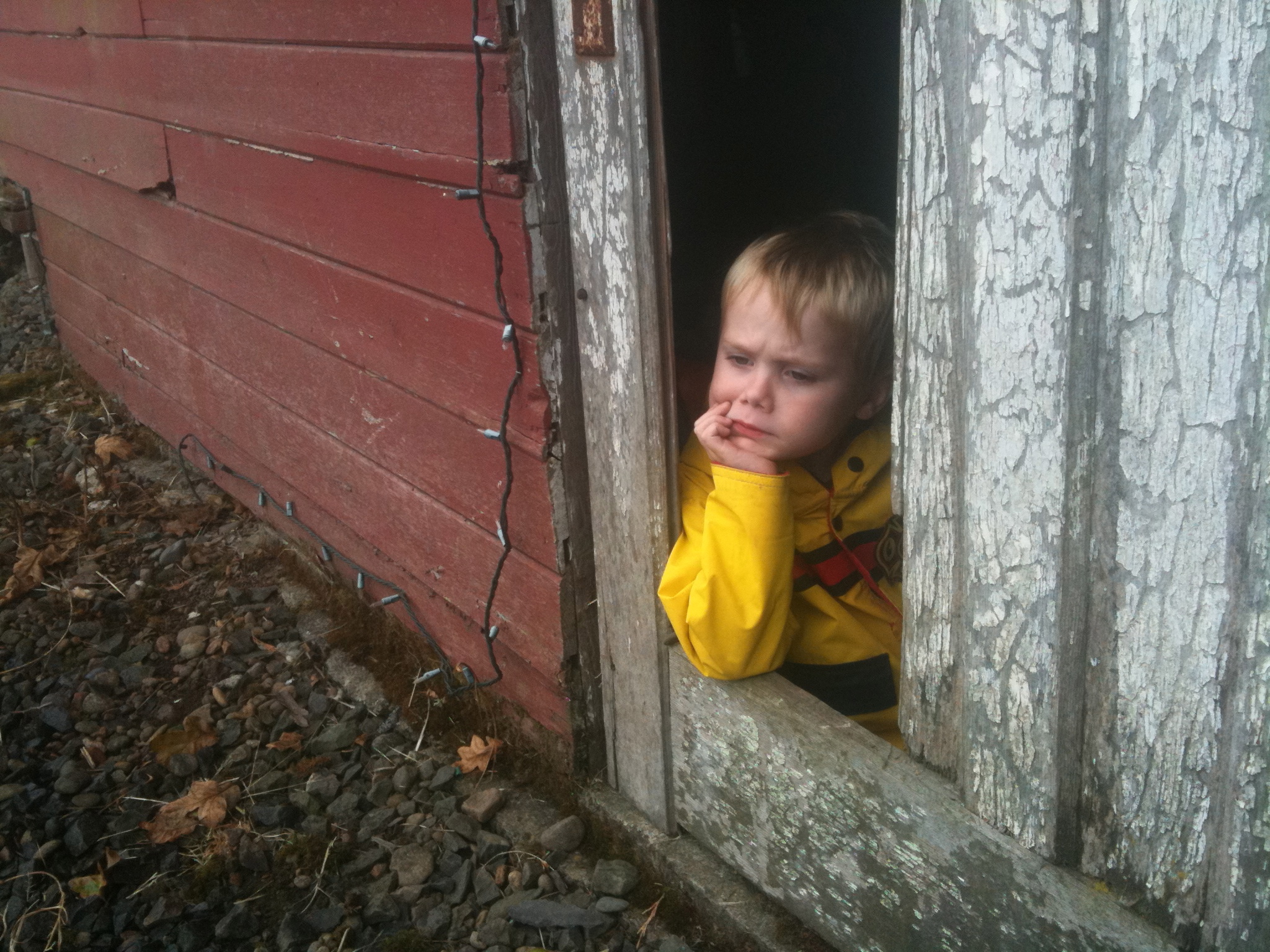 Jack sitting in the barn